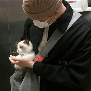 男女二次元操逼
