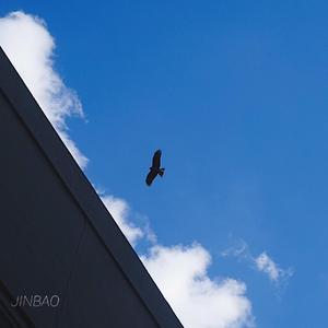 91成人淫淫一区
