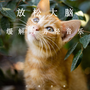 91成人淫淫一区
